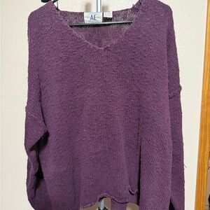 American Eagle Outfitters Women's Deep Purple V-Neck Sweater